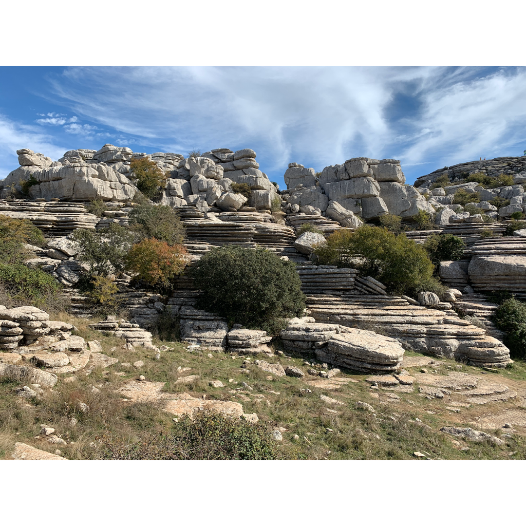 europe2019_web - 1338