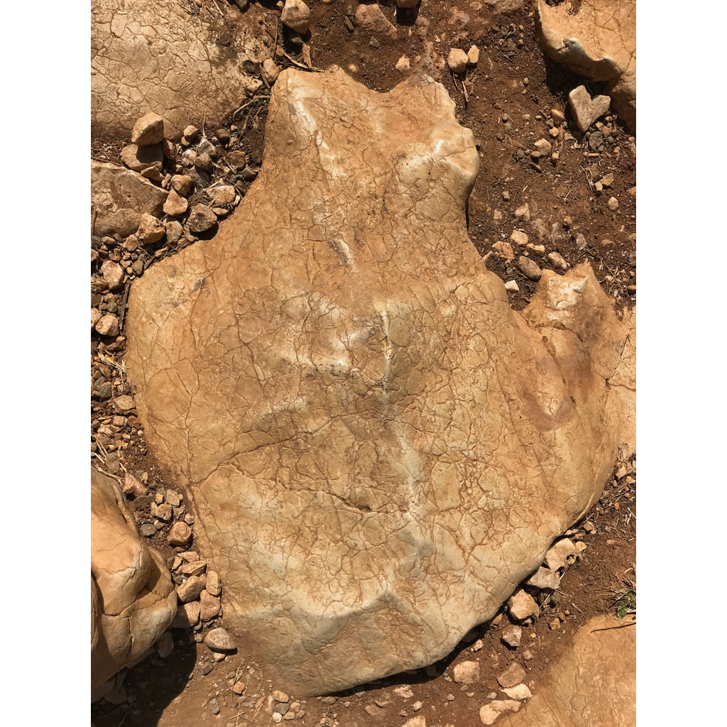 europe2019_web - 1339