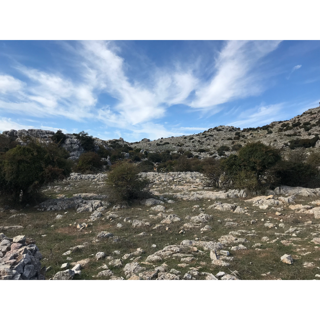 europe2019_web - 1341