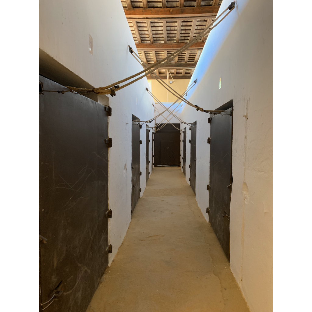 europe2019_web - 1348