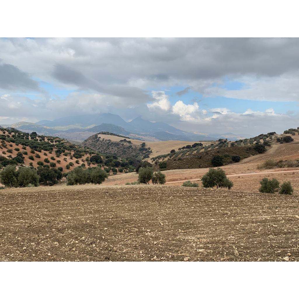 europe2019_web - 1368