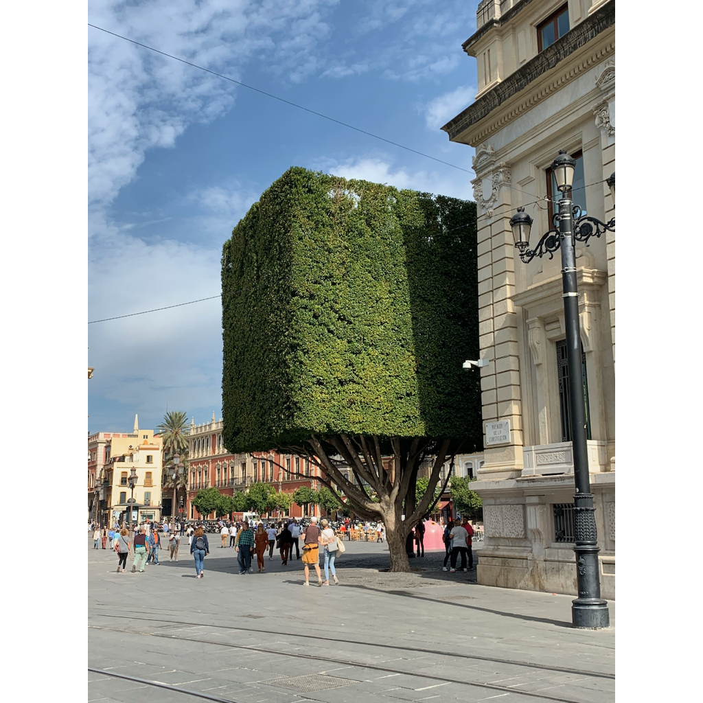 europe2019_web - 1391