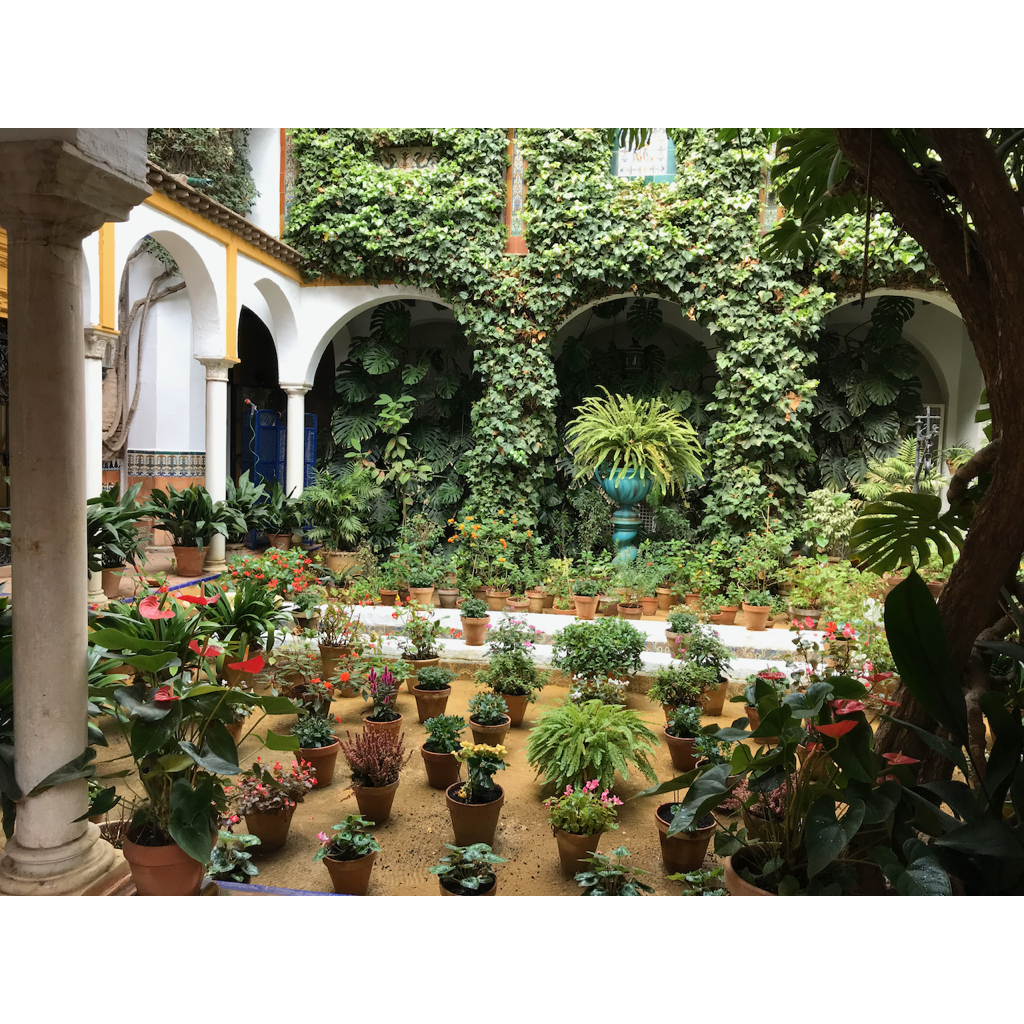 europe2019_web - 1393