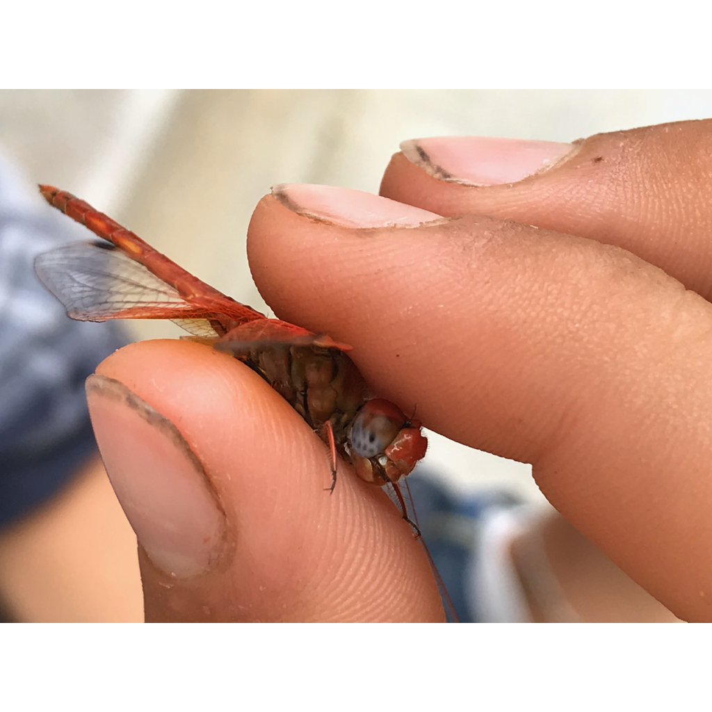 europe2019_web - 1394