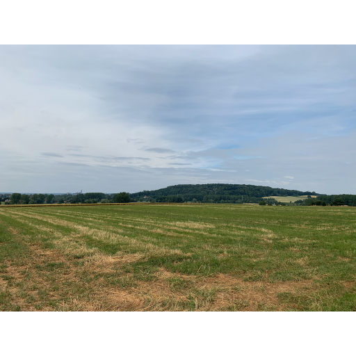 europe2019_web - 105