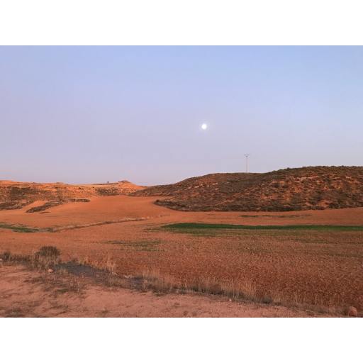 europe2019_web - 1119