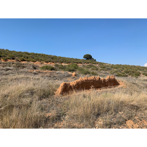 europe2019_web - 1123