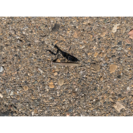 europe2019_web - 1124