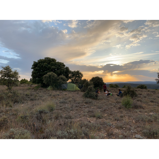 europe2019_web - 1138