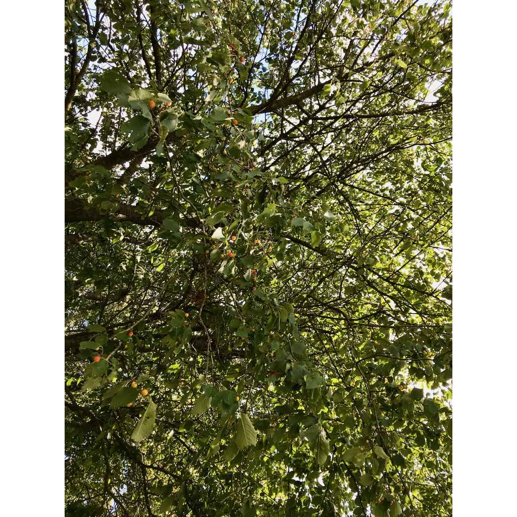 europe2019_web - 115