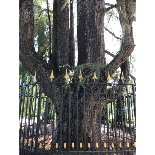 europe2019_web - 1156