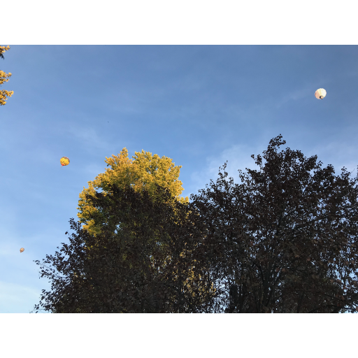 europe2019_web - 1199