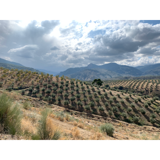 europe2019_web - 1238