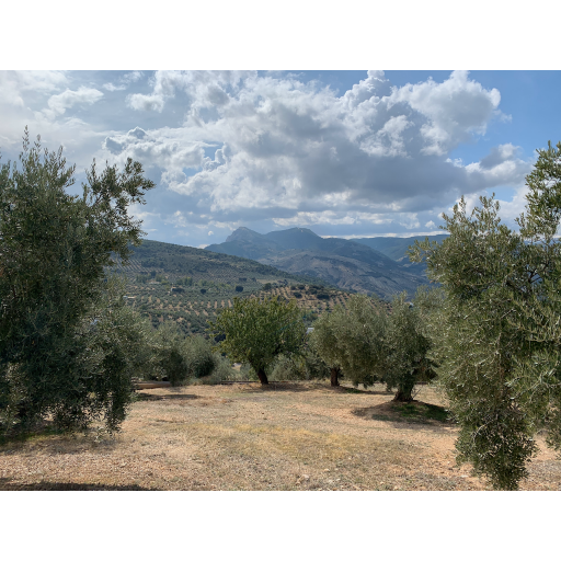 europe2019_web - 1241