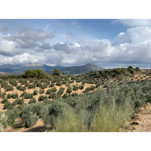 europe2019_web - 1242