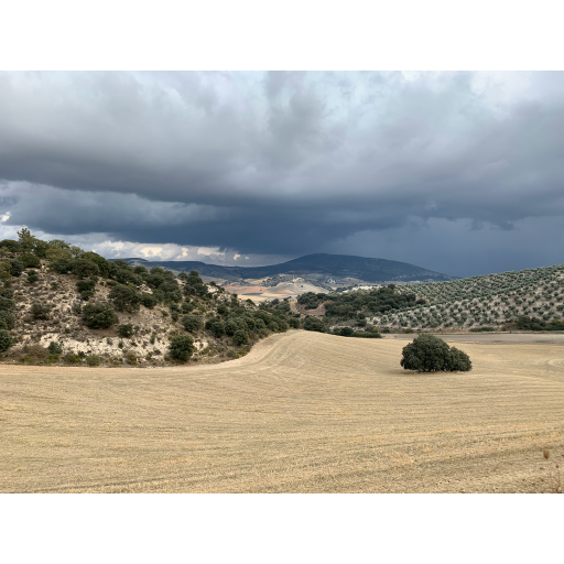 europe2019_web - 1244