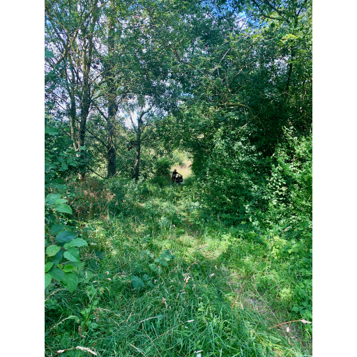 europe2019_web - 129