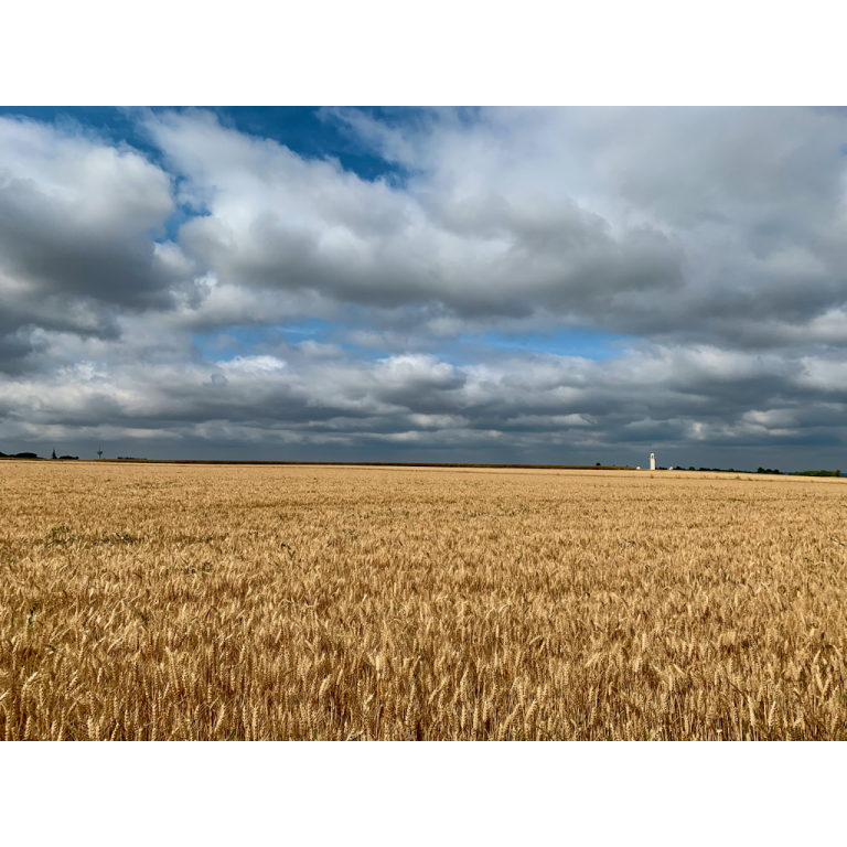 europe2019_web - 138