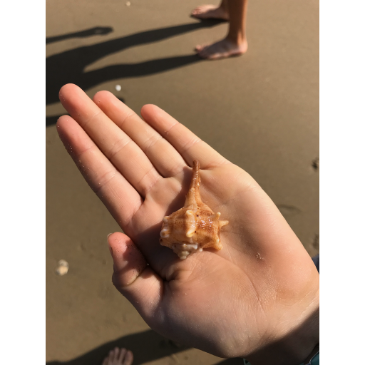 europe2019_web - 1404c