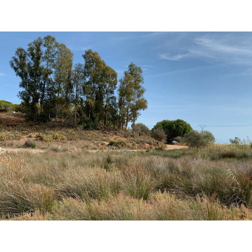 europe2019_web - 1406