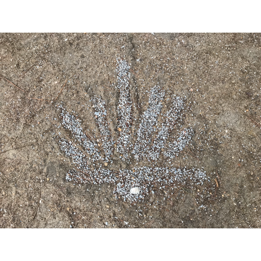 europe2019_web - 1413