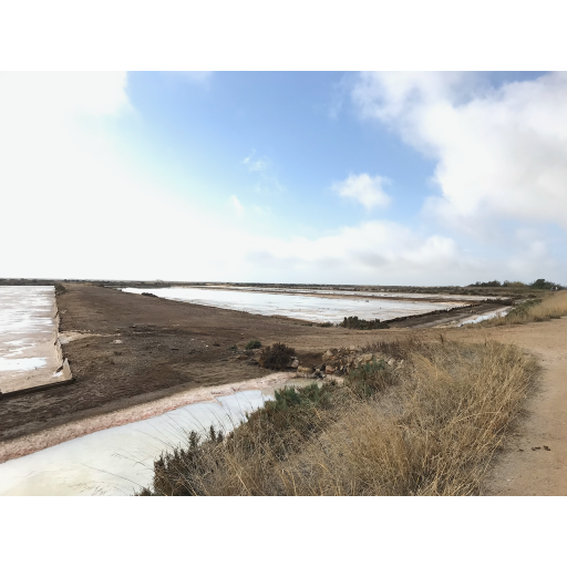 europe2019_web - 1414