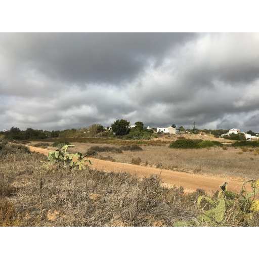 europe2019_web - 1415