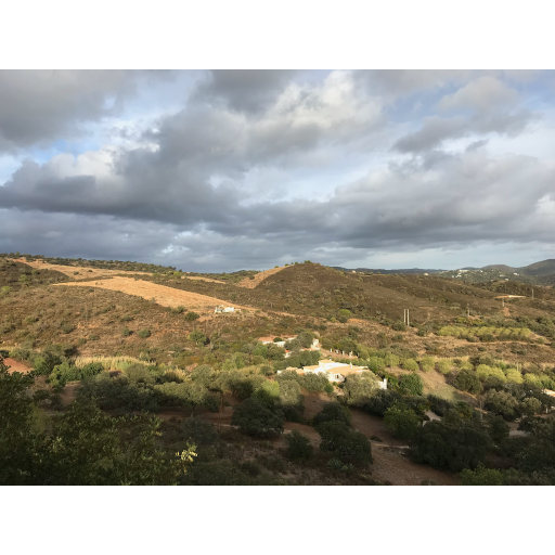 europe2019_web - 1417