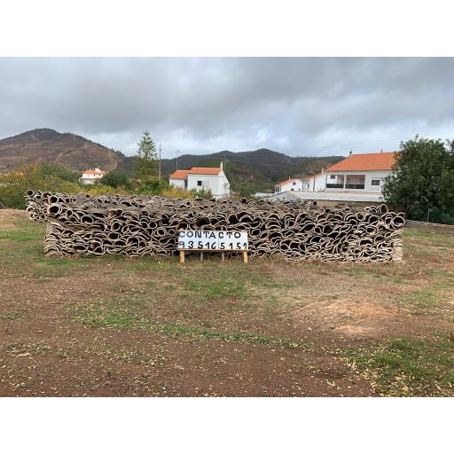 europe2019_web - 1421