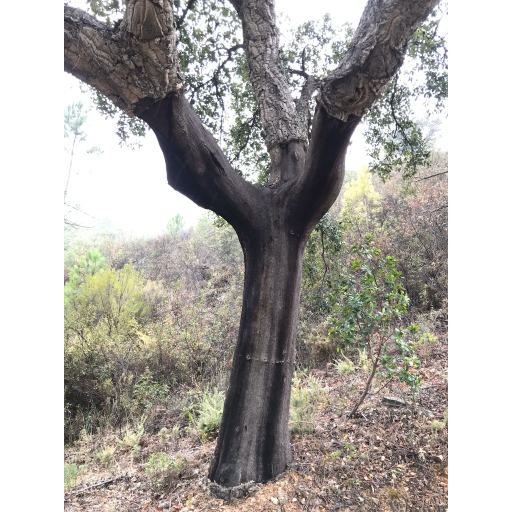 europe2019_web - 1422