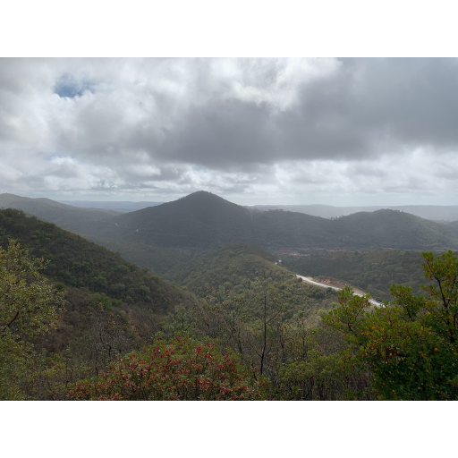 europe2019_web - 1425