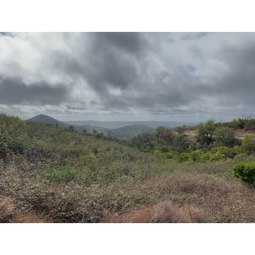 europe2019_web - 1426