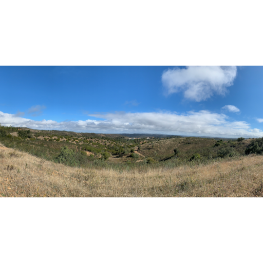 europe2019_web - 1428