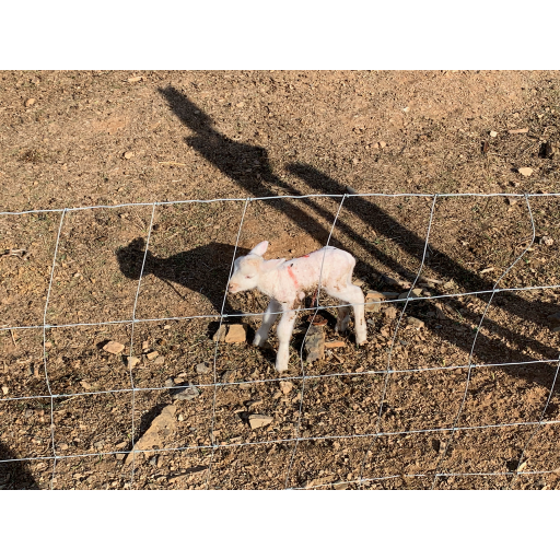 europe2019_web - 1432