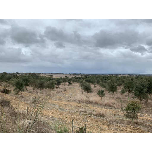 europe2019_web - 1437