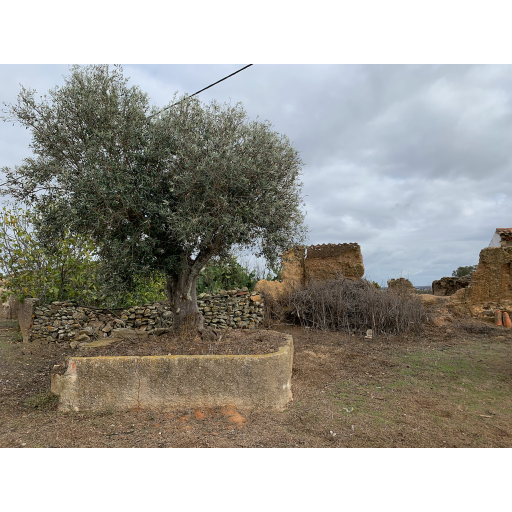 europe2019_web - 1439