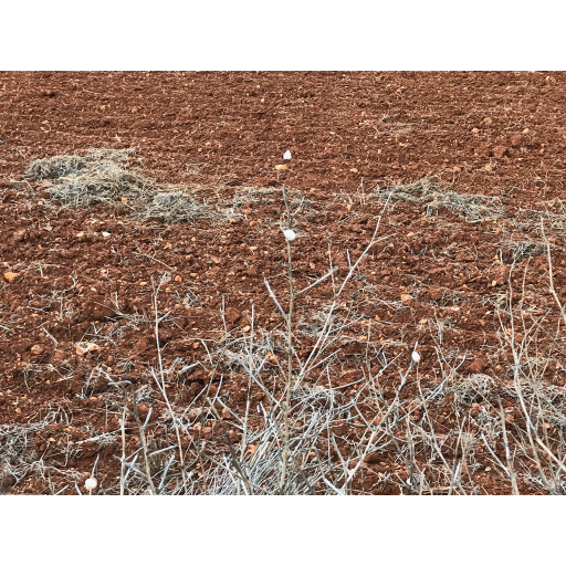 europe2019_web - 1446