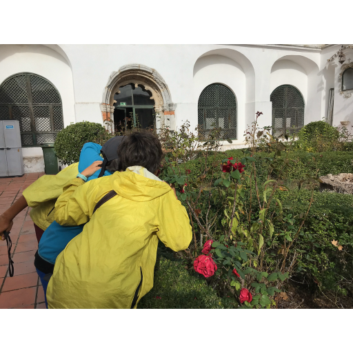 europe2019_web - 1463