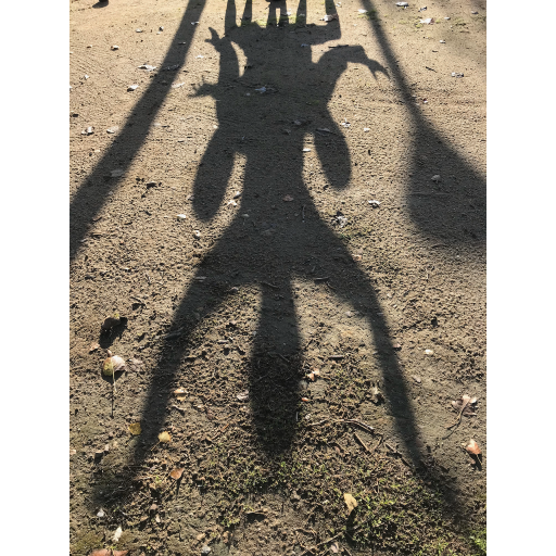 europe2019_web - 1482