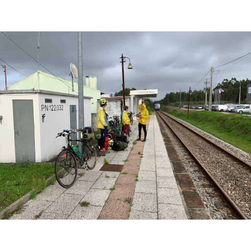 europe2019_web - 1539