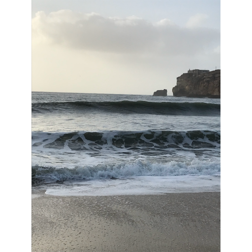 europe2019_web - 1542