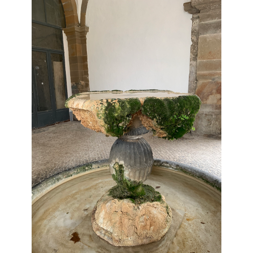 europe2019_web - 1574