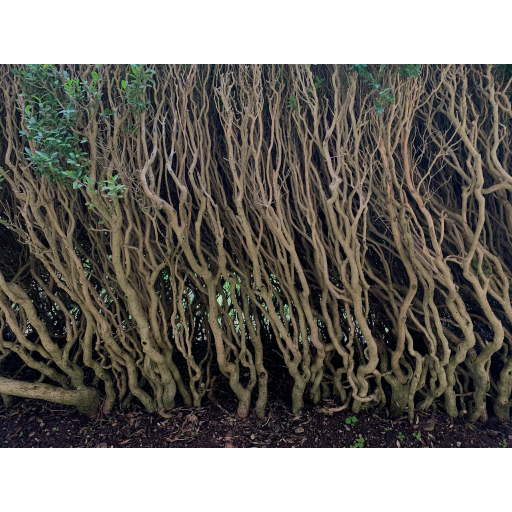 europe2019_web - 1596