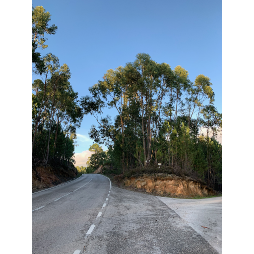 europe2019_web - 1611