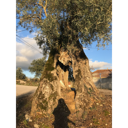 europe2019_web - 1612