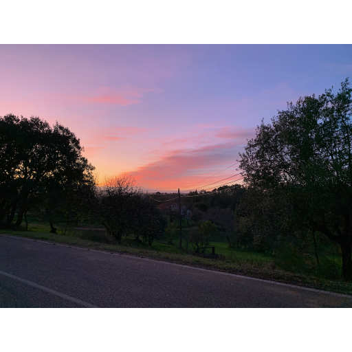 europe2019_web - 1614