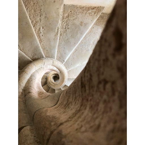 europe2019_web - 1639