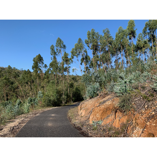 europe2019_web - 1652