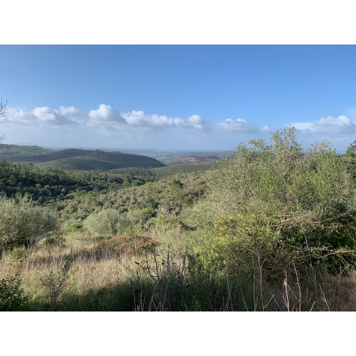 europe2019_web - 1653