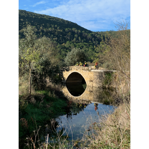 europe2019_web - 1656